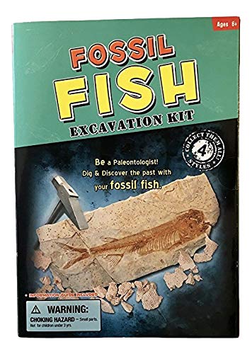 Gold Fossil Dig Kit