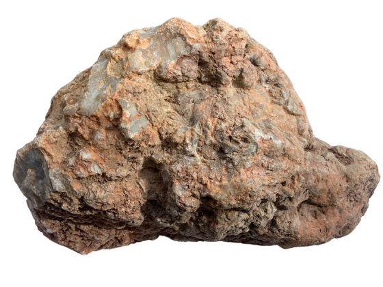 Dinosaur Coprolite – Fossilized Dino "POOP" 10" - 15LBS! (A2)