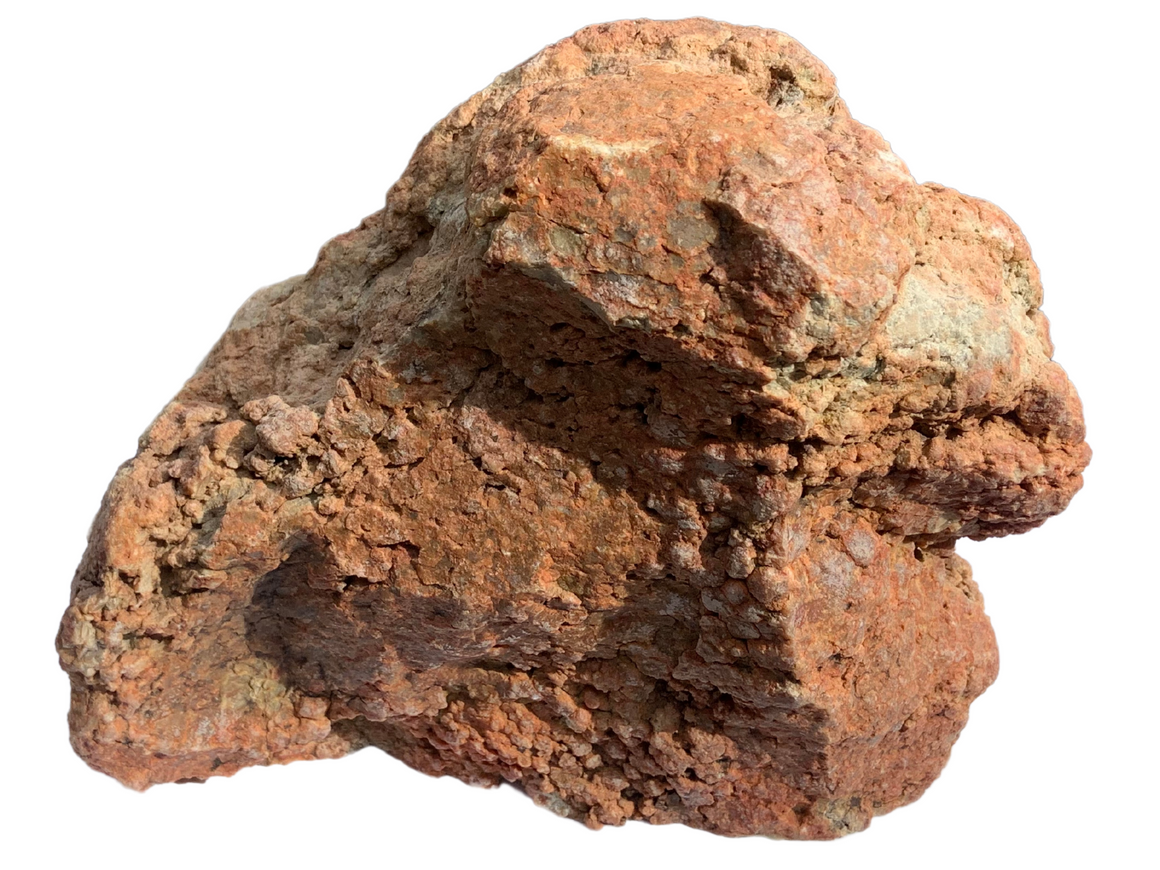 Dinosaur Coprolite – Fossilized Dino "POOP" 8" - 13LBS! (A3)