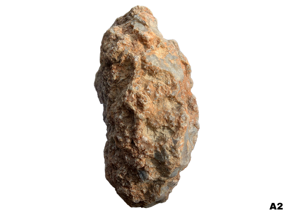 Dinosaur Coprolite – Fossilized Dino "POOP" 10" - 15LBS! (A2)