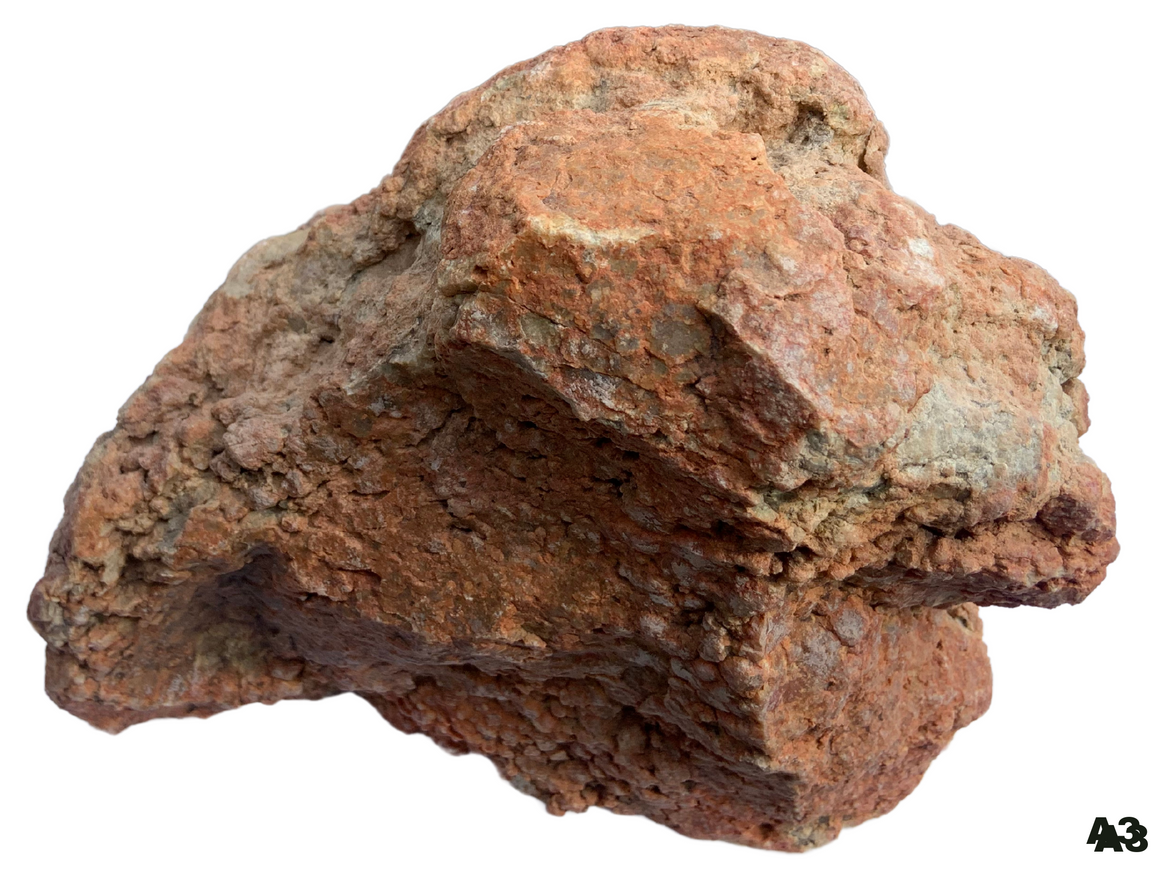 Dinosaur Coprolite – Fossilized Dino "POOP" 8" - 13LBS! (A3)