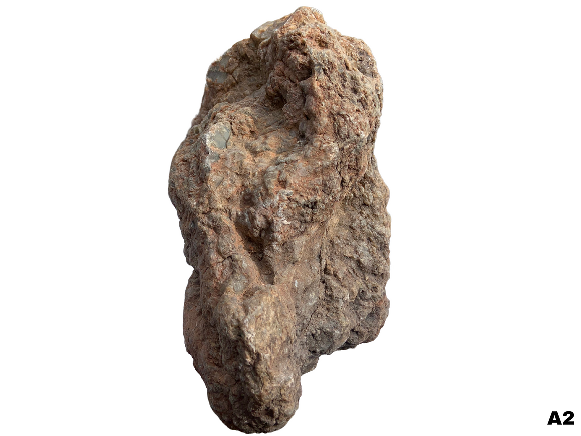 Dinosaur Coprolite – Fossilized Dino "POOP" 10" - 15LBS! (A2)