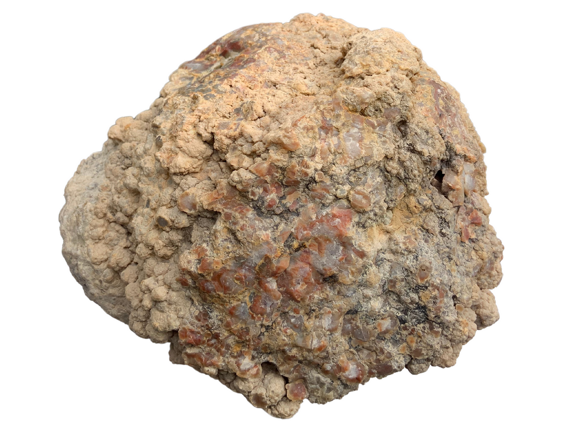 Dinosaur Coprolite – Fossilized Dino "POOP" 12" - 31LBS! (A1)