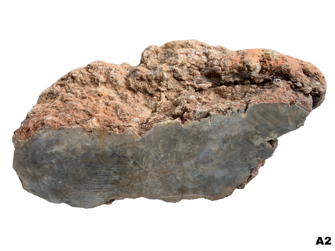 Dinosaur Coprolite – Fossilized Dino "POOP" 10" - 15LBS! (A2)