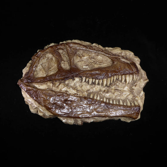 Giganotosaurus Mini Skull Profile Replica (PLAQUE) -  8"