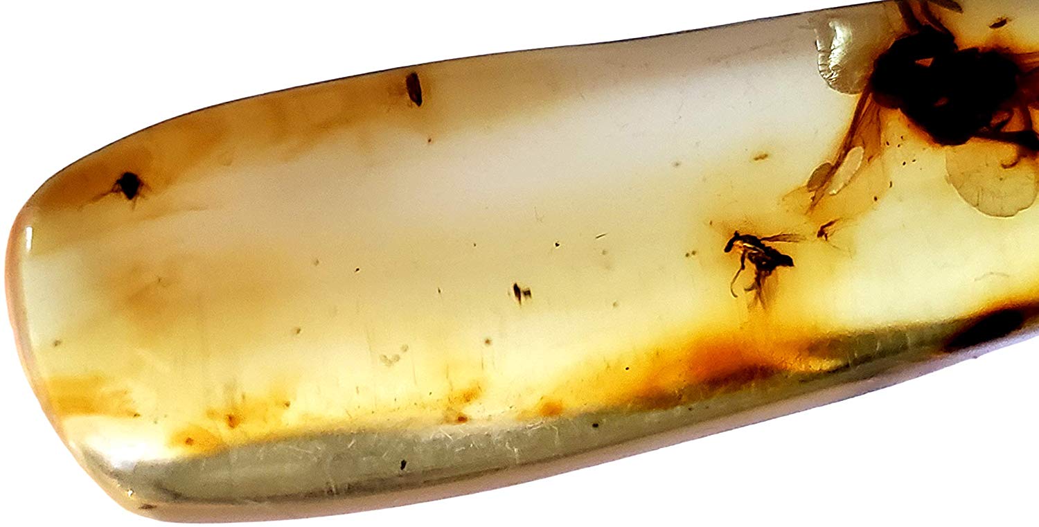 Genuine Amber Fossil Specimen - Multiple Insect Inclusions - Naturally