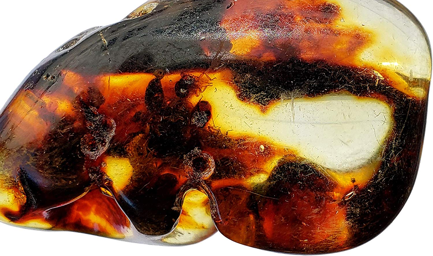 Genuine Amber Fossil Specimen - Multiple Insect Inclusions - Naturally