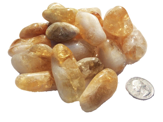 Chakra Healing Stones - CITRINE - Free Shipping - dinosaursrocksuperstore