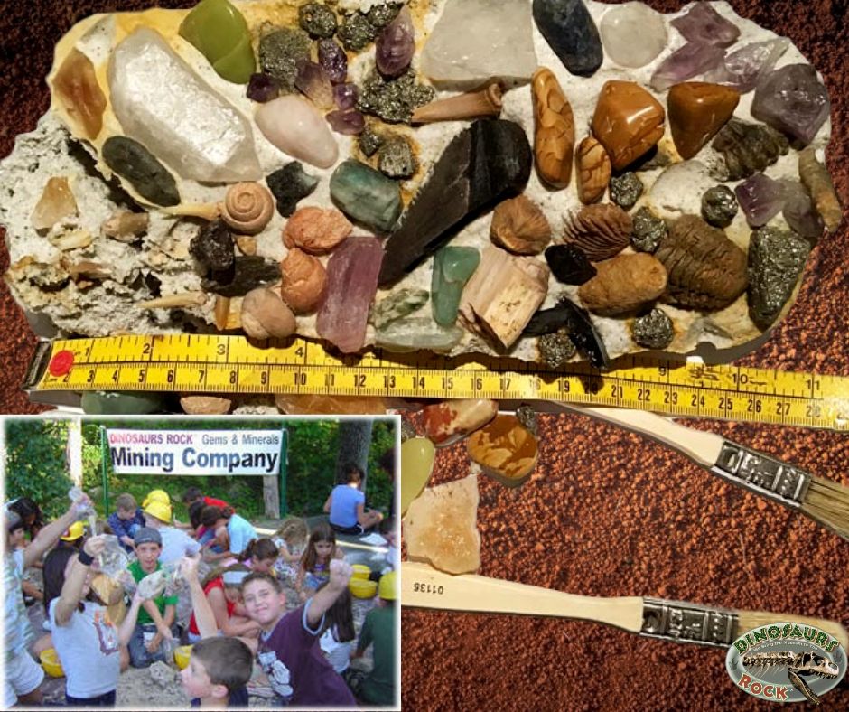 Gemstone and Fossil Excavation Dig Kit 